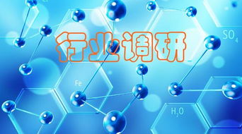 新材料 聚焦“小而精”，調研洞察化工原料需求，網絡技術研究賦能產業創新